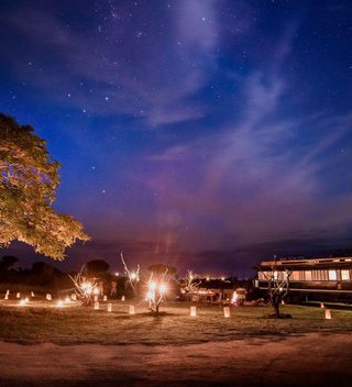 Savanna  Selati  Rail  Carriage  Dining Savanna  Selati  Rail  Carriage  Dining