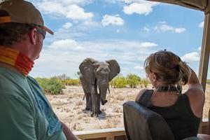 Savuti Game Drive Savuti Game Drive