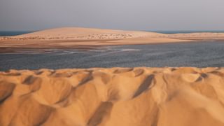 Sealine desert in qatar canva pro Sealine desert in qatar canva pro