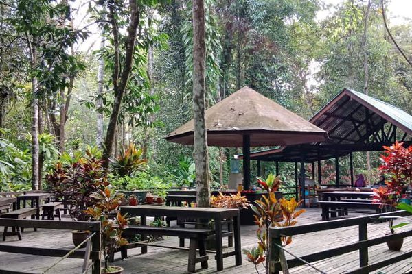 Seating Abai Jungle Lodge Kinabatangan River Borneo Facebook Seating Abai Jungle Lodge Kinabatangan River Borneo Facebook