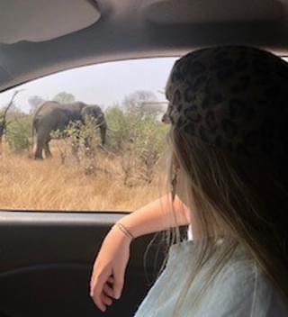 Self Drive Safari Emily Watching An Elephant