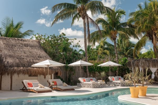 Ser Casasandra loungers Ser Casasandra loungers