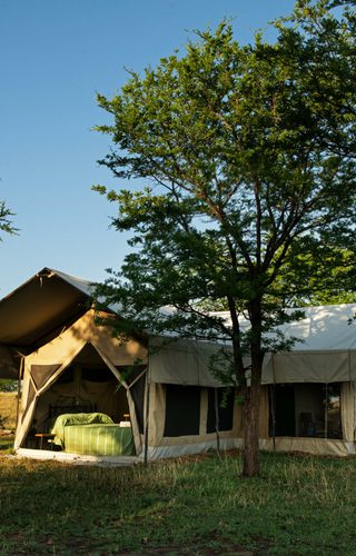 Serengeti Kati Kati Camp hero Serengeti Kati Kati Camp hero
