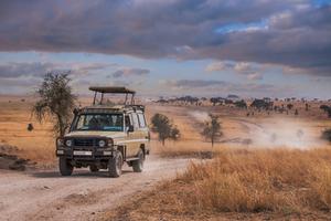 Serengeti Safari Serengeti Safari