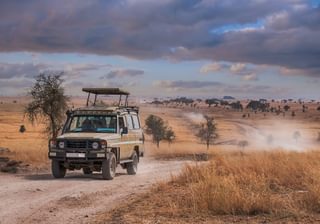 Serengeti Safari Serengeti Safari