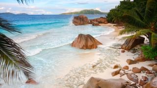 Seychelles Canva Pro Seychelles Canva Pro