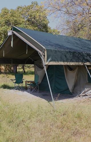 Shoebill Island Camp Tent