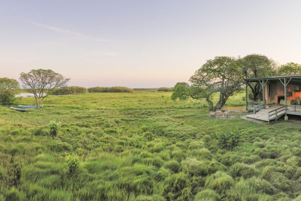Shoebill island Camp 1 Shoebill island Camp 1
