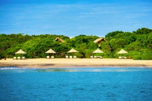 Shoreline At  Jungle  Beach