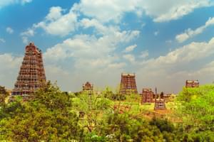 Shree  Meenakshi  Temple  Complex In  Madurai