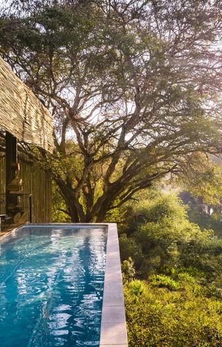 Singita Sweni Lodge SA Kruger Sa Kruger Wetu Singita Sweni Lodge SA Kruger Sa Kruger Wetu
