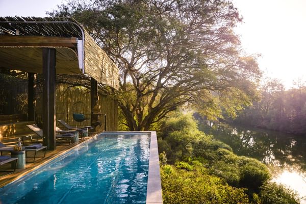 Singita Sweni Lodge SA Kruger Sa Kruger Wetu Singita Sweni Lodge SA Kruger Sa Kruger Wetu