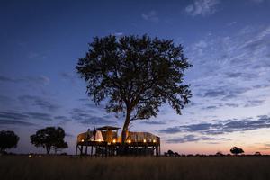 Sleep Deck Linkwasha Camp Sleep Deck Linkwasha Camp