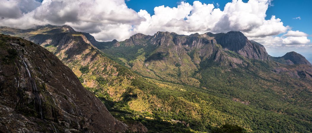 Slopes Of Mount Mulanje Malawi