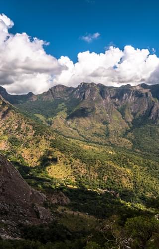 Slopes Of Mount Mulanje Malawi