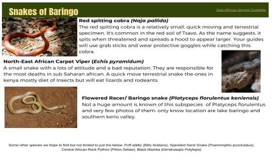 Snakes-of-Baringo.JPG#asset:139365