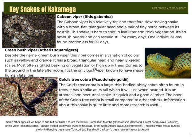 Snakes-of-Kakamega.JPG#asset:139366