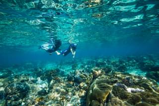 Snorkelling At Azura Benguerra
