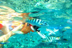 Snorkelling in Dagat Bohol P Hilippines