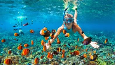 Snorkelling Over Coral Reefs