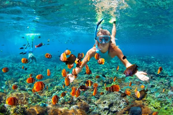 Snorkelling Over Coral Reefs Snorkelling Over Coral Reefs