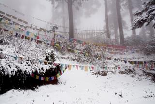 Snow on prayer flags Bhutan