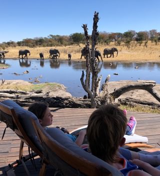 Somalisa Elephants Somalisa Elephants