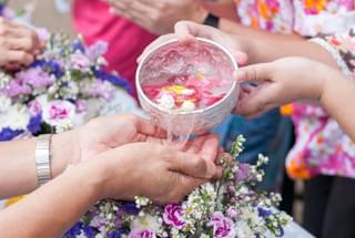 Songkran festival pink flowers buddhism