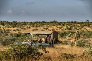 Game drive, Sosian, Kenya Game drive, Sosian, Kenya