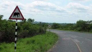 South Africa South Africa