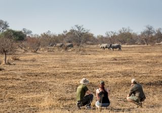 South Africa Walking Safari