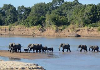 South  Luangwa  National  Park