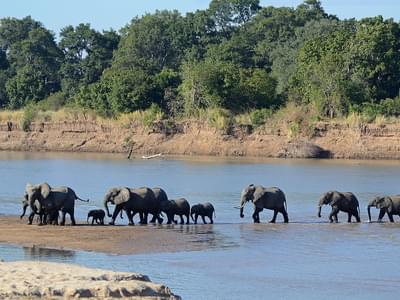 South  Luangwa  National  Park