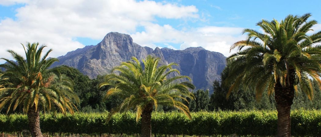 South Africa franschhoek Pixabay1