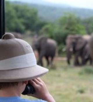 Spotting Some Beautiful Elephants