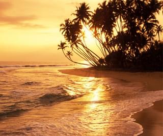 Sri Lanka coast sunset