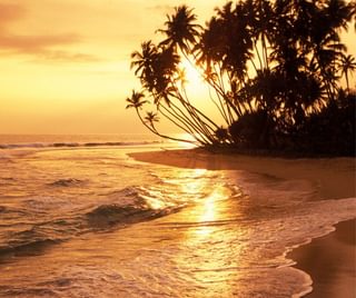 Sri Lanka coast sunset Sri Lanka coast sunset