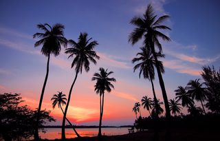 Sri Lanka Sunset