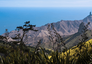 St Helena view canva pro St Helena view canva pro
