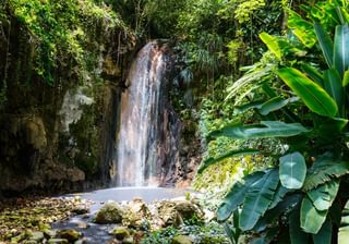 St Lucia Landscape Canva Pro St Lucia Landscape Canva Pro