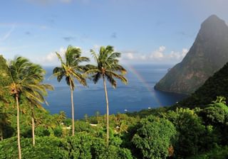 St Lucia Piton Canva Pro St Lucia Piton Canva Pro