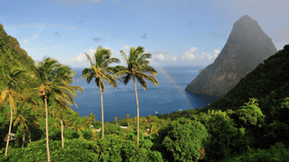 St Lucia Piton Canva Pro St Lucia Piton Canva Pro