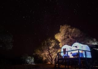 Star Beds At Night  Jozibanini
