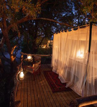 Starbeds At Night  Greater  Mana Starbeds At Night  Greater  Mana