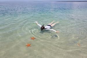 Starfish snorkelling Bocas del Toro Panama Canva Pro