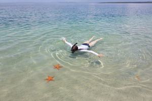 Starfish snorkelling Bocas del Toro Panama Canva Pro Starfish snorkelling Bocas del Toro Panama Canva Pro