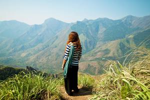 Stroll The Hills In  Munnar