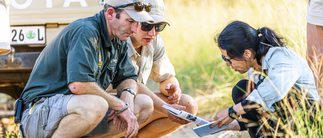 Studying new tracks greater kruger South Africa