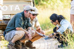 Studying new tracks greater kruger South Africa