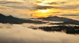 Sunrise over dipterocarp rainforest Borneo Sunrise over dipterocarp rainforest Borneo